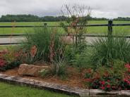 Slaughterville Park plants