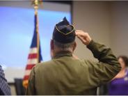 Veteran Saluting
