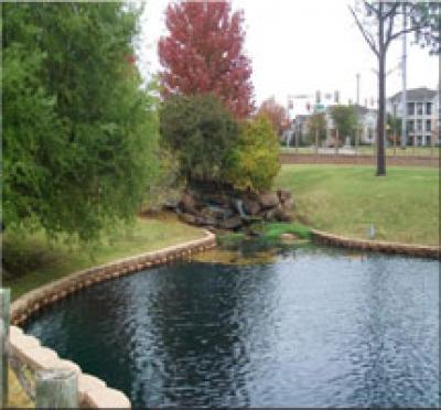landscaping