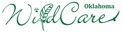 WildCare Oklahoma
